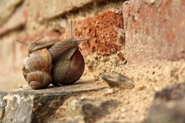 7 afweermechanismen die je relatie op scherp zetten